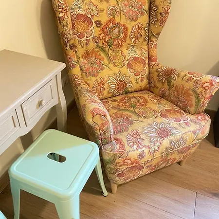 Senor Oso Albergue *