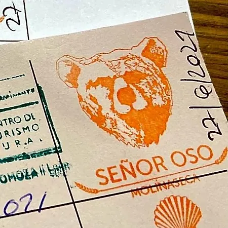 De Peregrinos Senor Oso Auberge de jeunesse