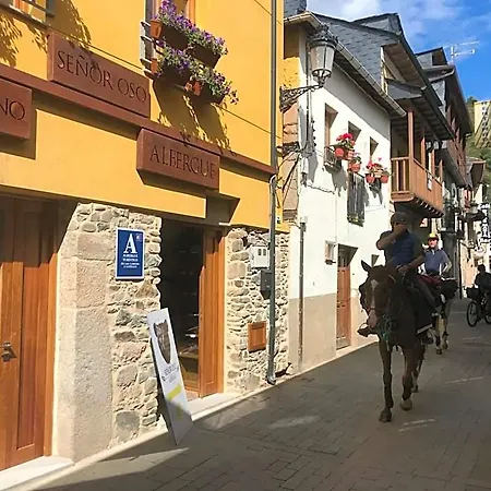 Auberge de jeunesse De Peregrinos Senor Oso *