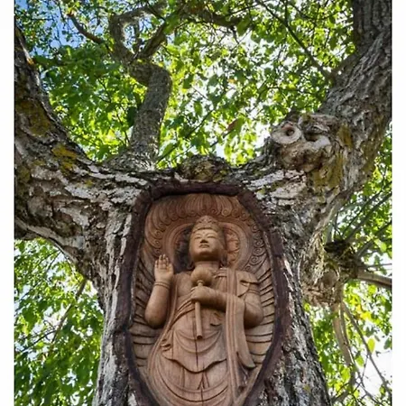 Hostel Senor Oso Molinaseca