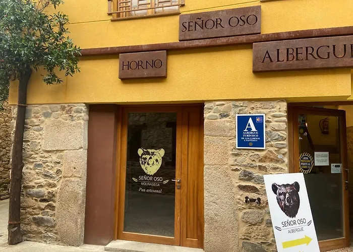 Senor Oso Молинасека