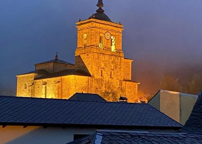 Senor Oso 호스텔 *