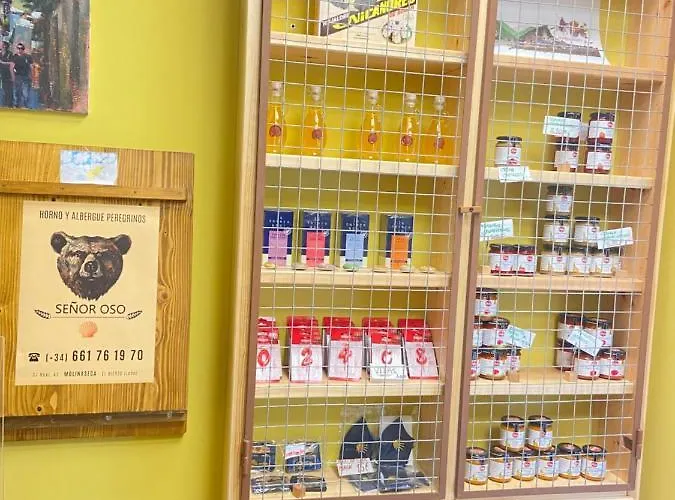 Senor Oso 호스텔