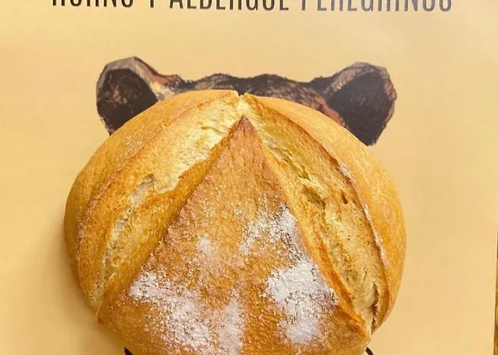 Senor Oso Хостел