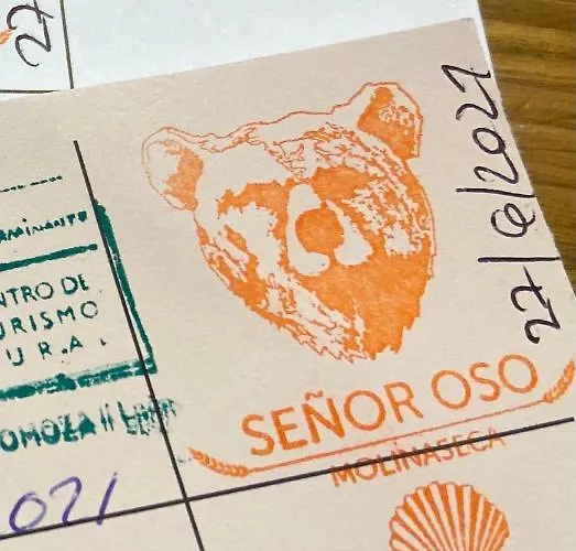 Senor Oso Хостел