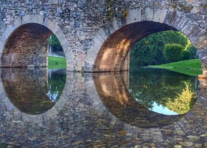 Senor Oso * Молинасека