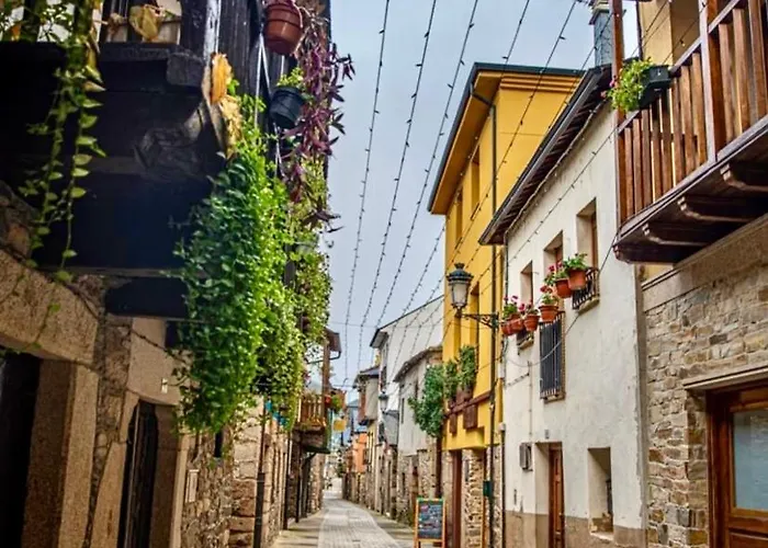 Хостел Senor Oso *