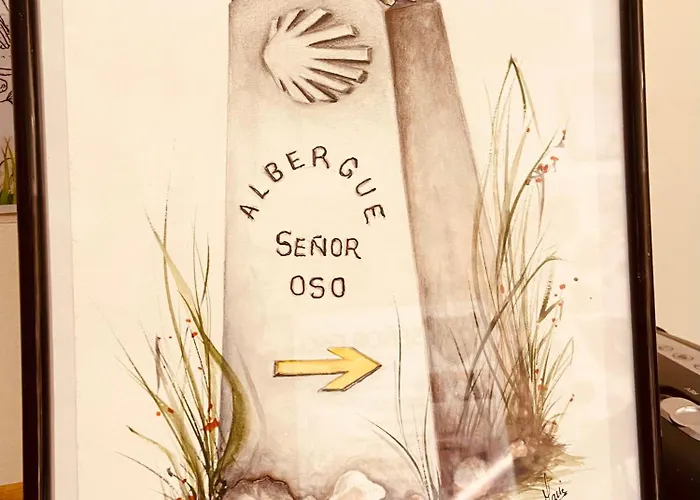 Senor Oso 호스텔 *