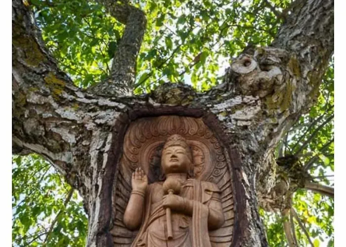 호스텔 Senor Oso 몰리나세카