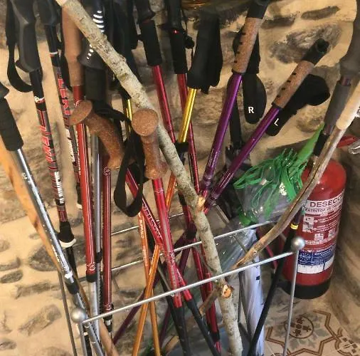 Senor Oso Молинасека